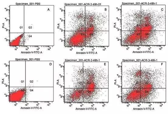 流式細胞儀觀察細胞凋亡和壞死